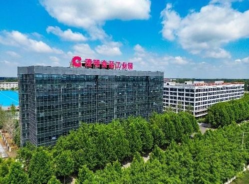 乘風破浪,河南冷鏈物流企業助力食品產業駛向新藍海