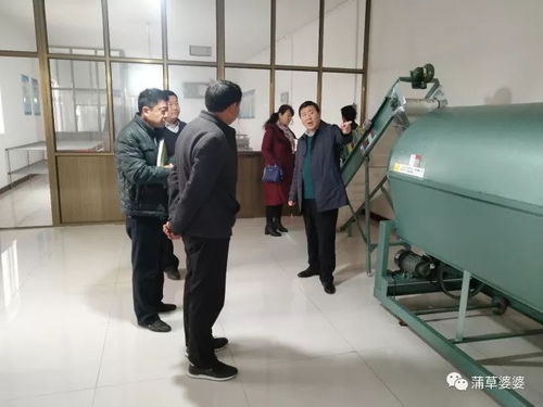 申美集團(tuán)一行到邯鄲市金益農(nóng)公司參觀考察 蒲公英標(biāo)準(zhǔn)化種植及產(chǎn)品精深加工項(xiàng)目