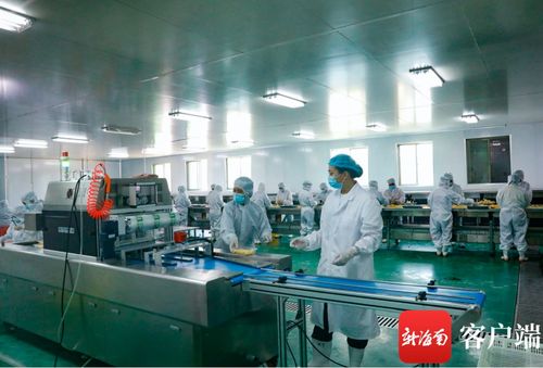 海墾集團 加快推進熱帶特色農業產業發展 打造特色熱帶高效農業 王牌