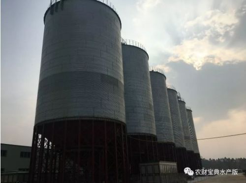 投2億元建30萬噸大飼料廠 開業(yè)當(dāng)天就鎖定6萬噸銷量 匯海進(jìn)入大爆發(fā)快車道